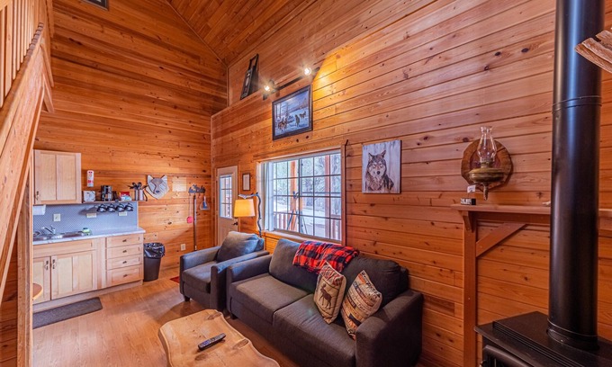 Christopher Creek Cabin | Explore Wolves Den Cabin: Game Room & Pet-Friendly Stay