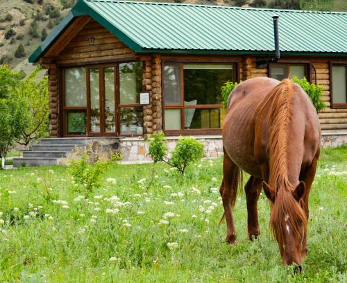Urtsadzor House | Beautiful Wooden House in Wildlife Refuge with Ocean View