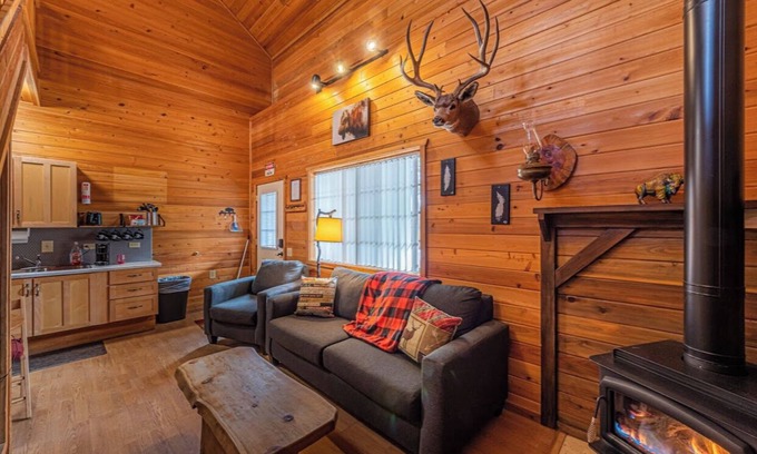 Christopher Creek Cabin | Pet-Friendly Buffalo Herd Cabin with Game Room & Kitchen