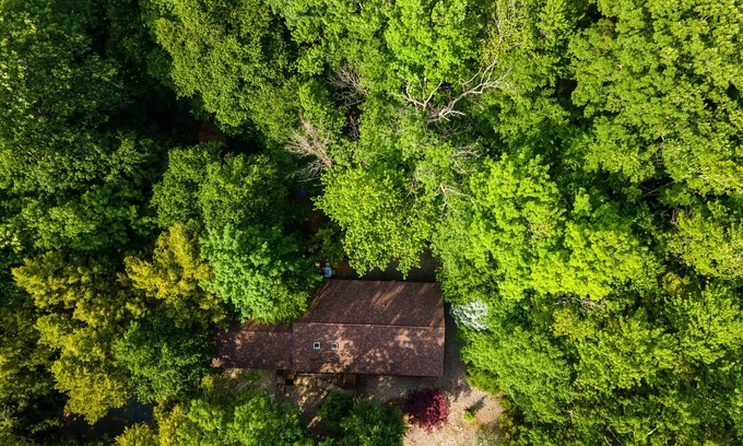 Rock Hill House | Idyllic Wooden Paradise: Pet-Friendly Retreat in Catskills