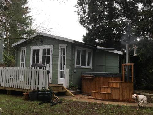 Tilford Cabin | Cozy Woodland Cabin with Private Hot Tub & Pet-Friendly Stay