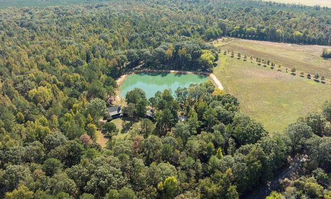 Clinton Cabin | Cozy Cabin in the Woods with Ocean View & Pet-Friendly Stay