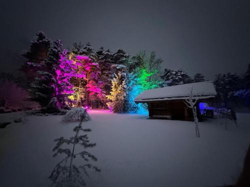 Leuk Cabin | WoodMood Cabin with Private Spa