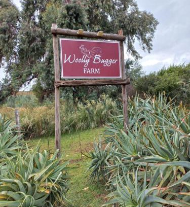 Tonteldoos House | Discover Woolly Bugger Farm: Pet-Friendly Retreat, 9.2/10