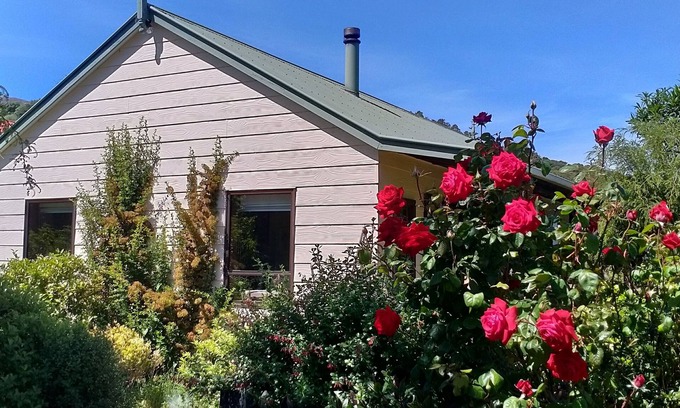 Akaroa House | Pet Friendly Oceanfront Retreat with High Guest Rating