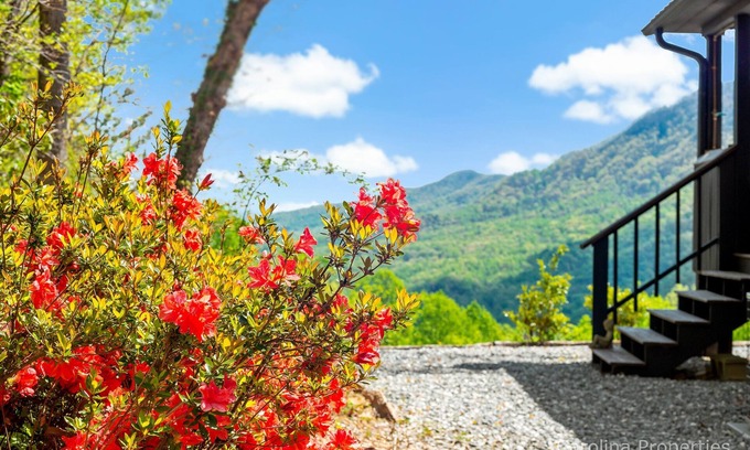 Piney Mountain House | Writer's Block: Big Views, Cozy Fire Pit for Your Escape