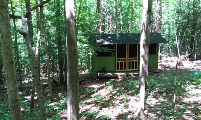 Etna House | Pet-Friendly Rustic Retreat Cabin at Camp Earth Connection