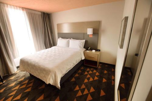 Southeast Houston Hotel | Comfortable Stay at Holiday Inn Houston Hobby Airport