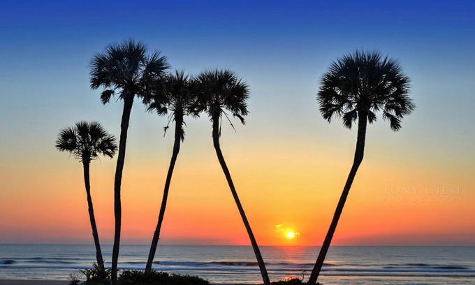 Seabreeze Historic District House | Discover Wyndhams Ocean Walk: Family-Friendly Retreat