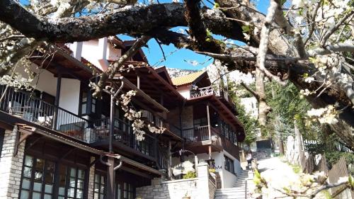 Elati House | Top-Rated Xenonas Brizi: Family-Friendly with Hot Tub