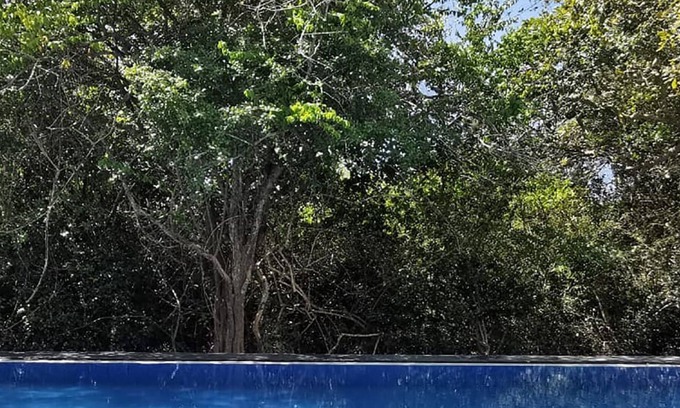 Palatupana Hotel | Yala Ravana AC Luxury Tented Safari Camp