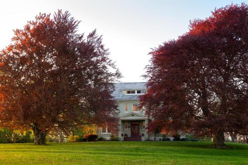 Town of Varick Bed & Breakfast | Explore Yale Manor B&B & Yurt Glamping: Hot Tub Retreat
