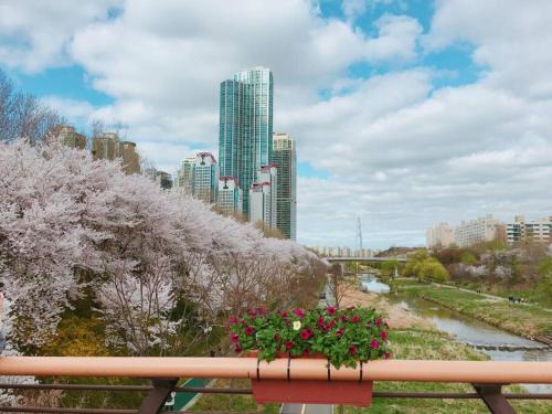 Yangjae-dong Apartment | Guest Rated 10/10: Yangjae Promenade Park & Relaxation