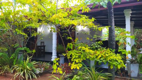 Sigiriya House | Budget-Friendly Yashi's Place Sigiriya with Breakfast Included
