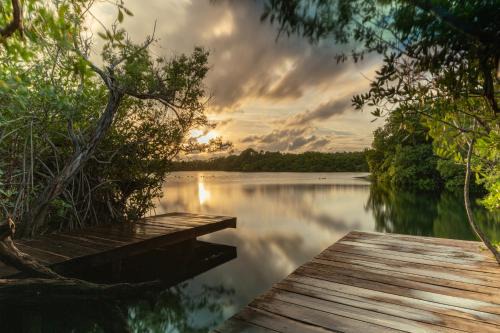 Zona Hotelera Cabin | Discover Yaxchen Tulum Cabañas & Cenote - Guest Rated 8/10