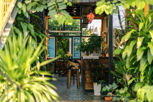 Tuy Hoa Hotel | Discover Trại Hoa Vàng Homestay: Pet-Friendly Bliss