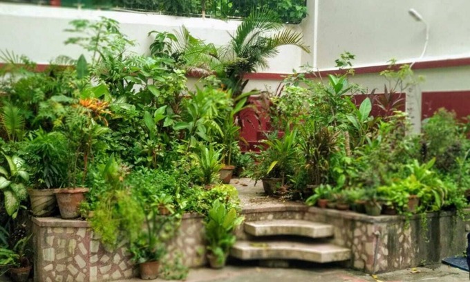 Bhowanipore Apartment | Yellowbrick-Calcutta's Freshest BnB
