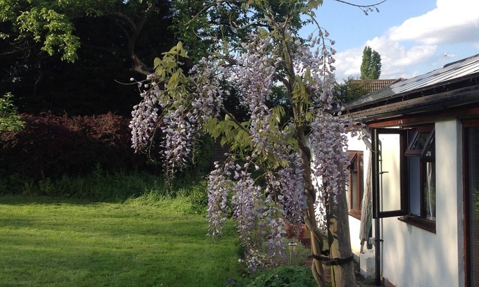 Newton Longville Bed & Breakfast | Yew Tree Farm: Guest Rated 9.8 with Family-Friendly Perks