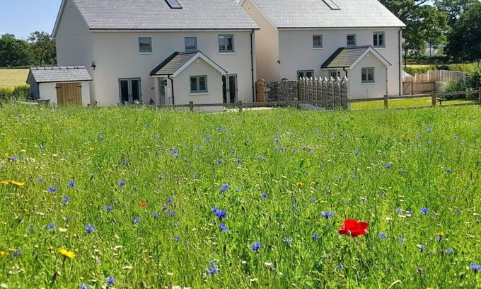 Llandovery House | Ynyswen Arosfa: Family Cottage with Mountain Views & Breakfast