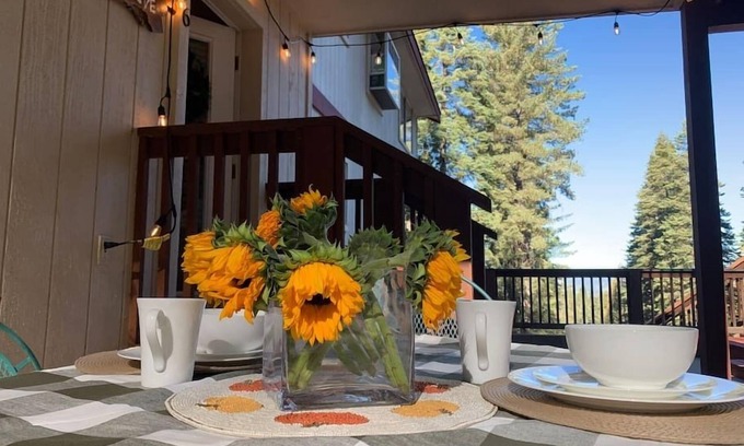 Yosemite West Apartment | Discover YoBee! Yosemite Studio: Pet-Friendly & Breakfast Included