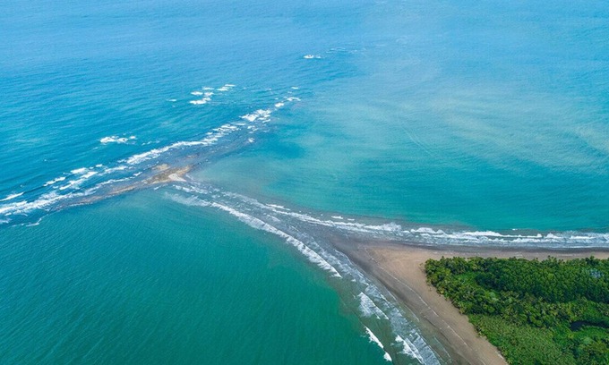 Ballena Cabin | Discover Yogachal Vista Mar: Jungle Cabins with Seaview