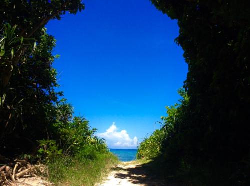 Ishigaki House | Discover YOISAMA Sunset Beach House: 10/10 Oceanfront Retreat
