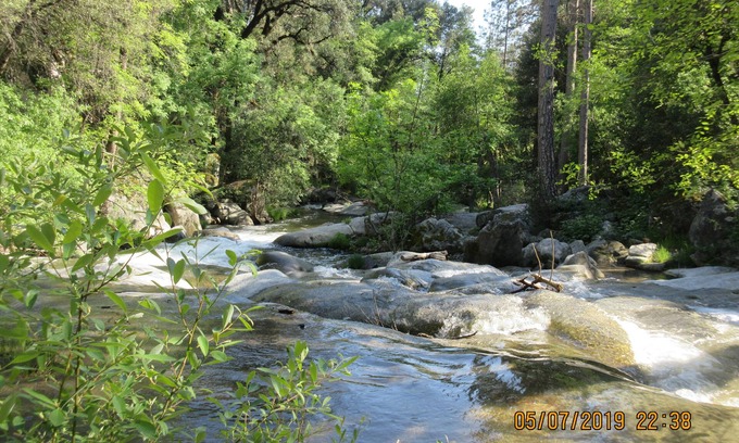 Yosemite Forks House | Lake View Retreat: Yosemite Southgate Waterfront Cabin