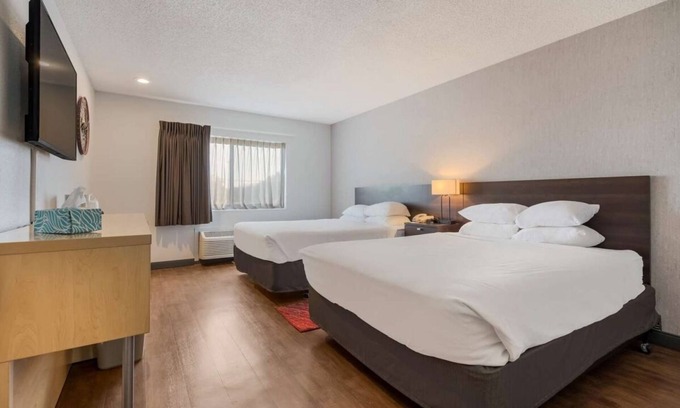 Ontario Hotel | Discover Your Ideal Getaway: Pool, Pet-Friendly & Breakfast