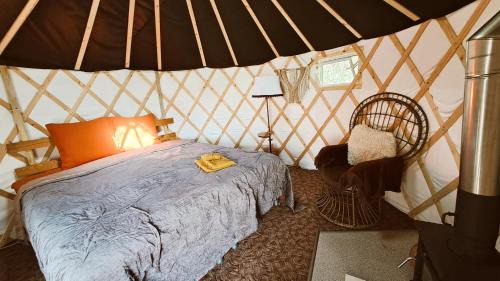 Pieriga Other | Yurt Birzs with Sauna at Kleja Camping
