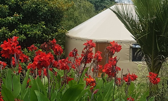 Thames House | Unforgettable Yurt in Thames with Ocean View & Pool