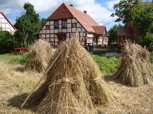 Trzebiatow House | Budget-Friendly Stay at Zagroda Chłopska - Family & Kitchen Amenities