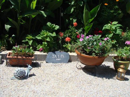 Eresos-Antissa Apartment | Pet-Friendly Zaira Studios: Highly Rated Comfort Awaiting You