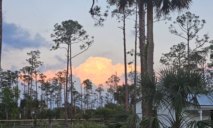 Estero House | Escape to Zara Camper: Pet-Friendly Retreat Near the Beach
