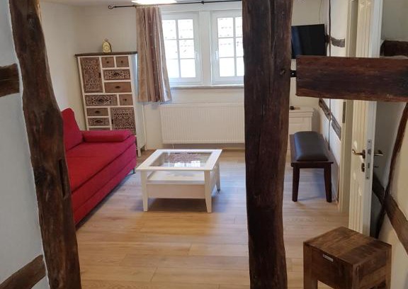 Hirschhorn Apartment | Top Location Apartment Near Heidelberg with Great Amenities