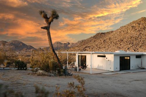 Joshua Tree Highlands House | Relaxing Zebra Shadow: Hot Tub Retreat Near the Park