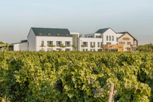 Palzem Bed & Breakfast | Oceanfront Bliss at Zeit bei Sauerweins - Rated 9.2/10