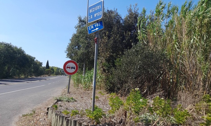 Beziers House | Tranquil Retreat: Embrace Nature with Ocean Views & More
