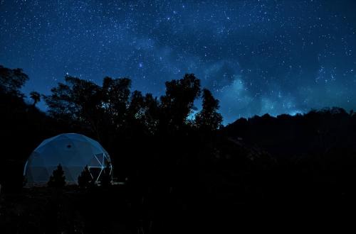 Glendale House | Zen Zion Evergreen Dome: Ideal for Families and Pets