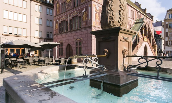 Mulhouse House | Discover Zenao Appart'hôtels Mulhouse: Pet-Friendly Comfort