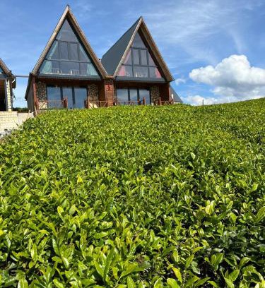 Ayder Hotel | Discover Zenimos Bungalov: Family-Friendly Getaway