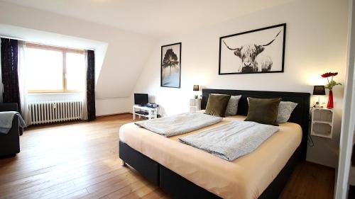 Wurzburg City Centre Apartment | Central City Apartment with Park View by the River Main
