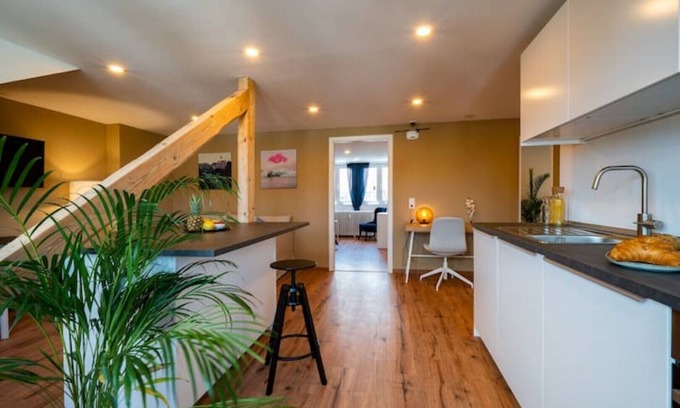 Saarbruecken Apartment | Central 70 sqm Rooftop Apartment Ideal for Families