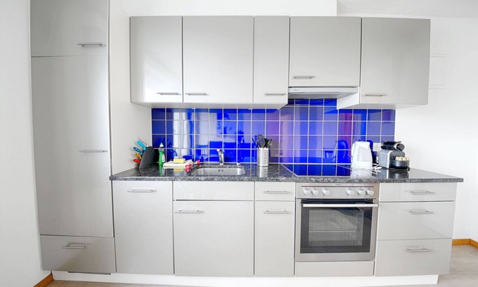 Center Apartment | Comfortable Stay at ZH Chestnut - Letzigrund HITrental