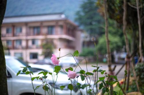 Wulingyuan Hotel | Perfect Getaway at Time Away Inn - Pet & Child Friendly