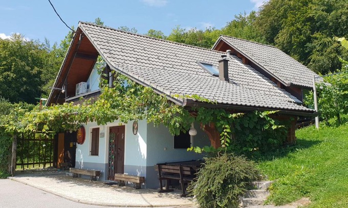 Trebnje House | Inviting Zidanica Meglič - Vineyard Cottage with Family Amenities