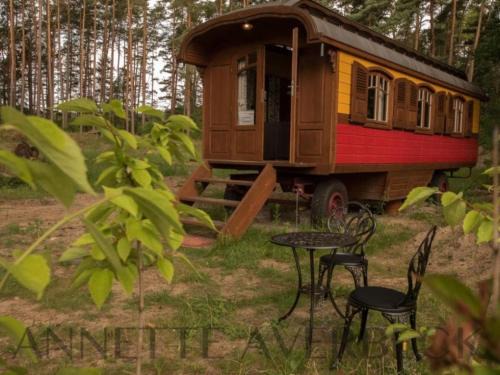 Rutenberg House | Budget-Friendly Zigappo Directeur: Family & Pet Welcoming