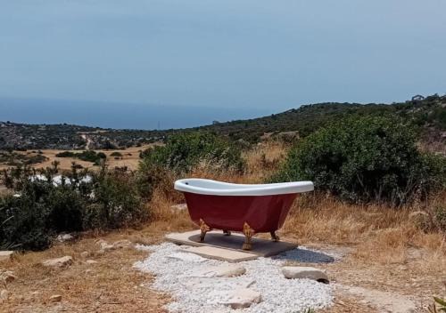 Pareklisia House | Discover Zima Edge: Pet-Friendly Stay with Breakfast Included