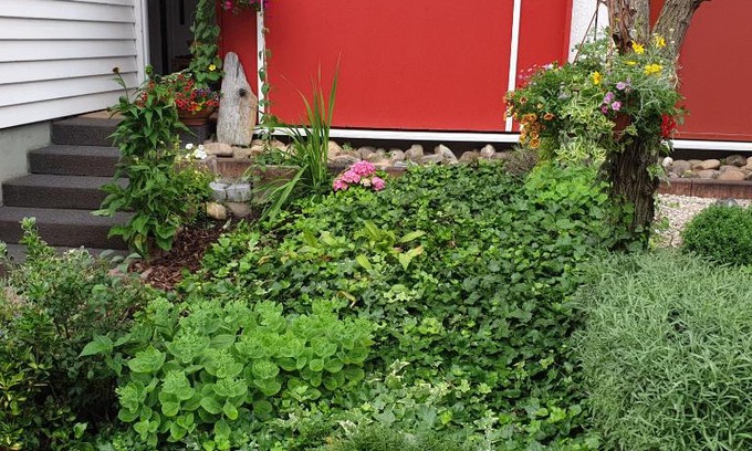 Alsbach-Haehnlein House | Cozy Zimmer an der Bergstraße: Family-Friendly Retreat