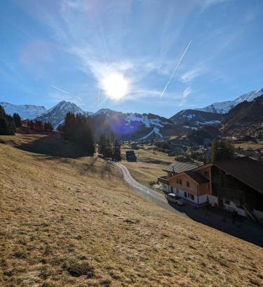 Adelboden Apartment | Zimmer in Adelboden