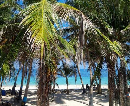 Punta Sur Apartment | Oceanfront Getaway at Zippy's Sea View Apartments
